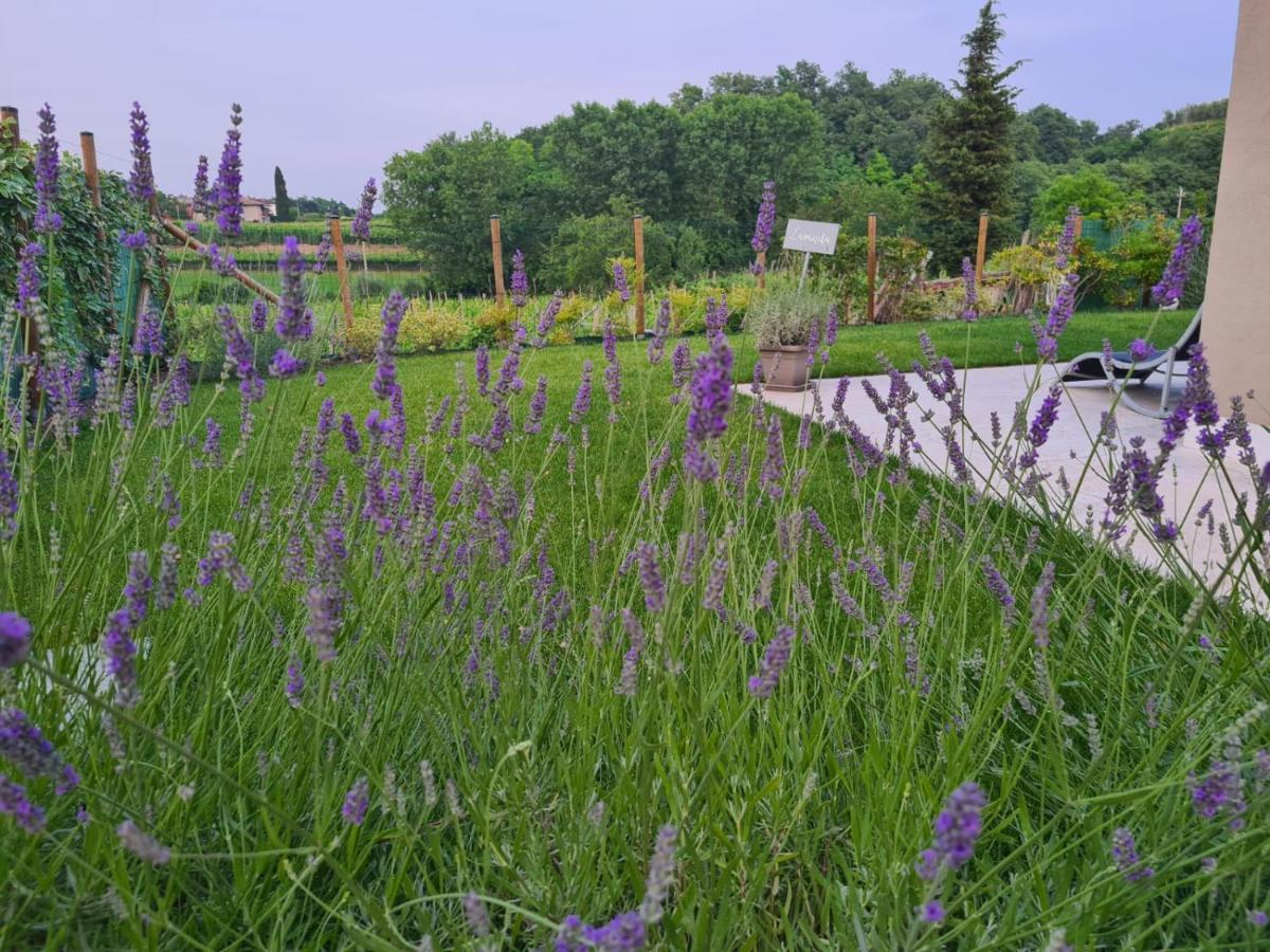 Residence Le Aromatiche كافايون فيرونيسي المظهر الخارجي الصورة
